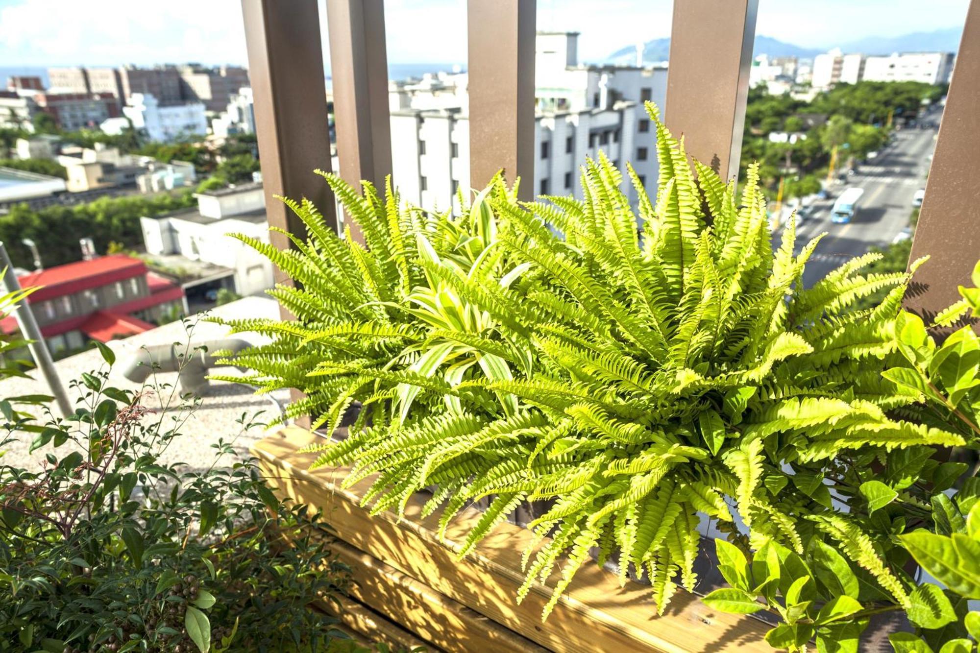 Lishiuan Hotel Hualien Exterior foto
